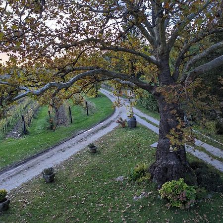 Castel San Mauro Hotel Гориция Екстериор снимка